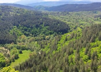 България отбелязва Международния ден на горите с увеличен запас