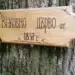 Стралджа обяви конкурс за откриване на стари и вековни дървета