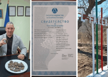 Патентоваха уникалния картоф “Синь цвръцаняк” от Стакевци
