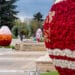 Ямбол в цветове и празнично настроение 12 Ямбол в цветове и празнично настроение