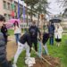 Абитуриенти от Царево засадиха дърво в двора на училището