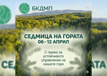 Отбелязваме Седмицата на гората с увеличени територии и запас