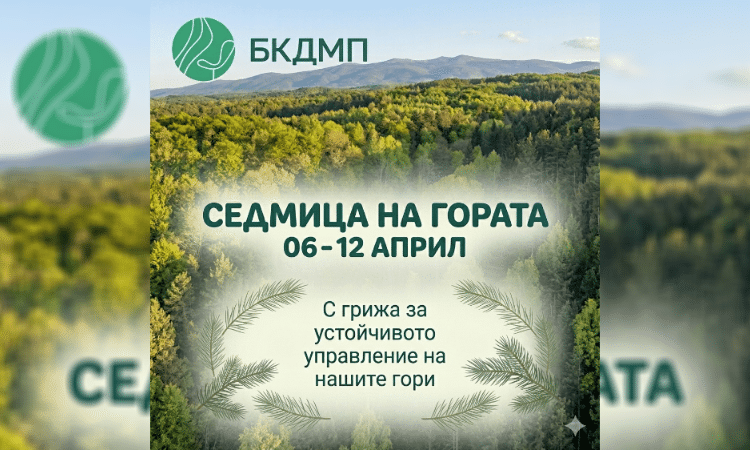 Отбелязваме Седмицата на гората с увеличени територии и запас 1 2