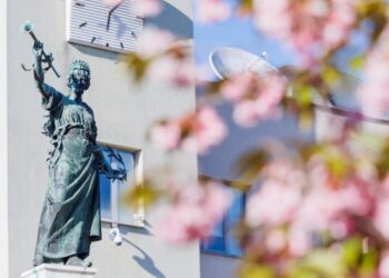 Розова приказка: Севлиево и неговите японски вишни (снимки)