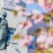 Розова приказка: Севлиево и неговите японски вишни (снимки) 8 Розова приказка: Севлиево и неговите японски вишни (снимки)