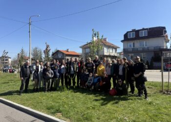 В Самоков засадиха японски вишни, декоративни ябълки, борчета и чинари