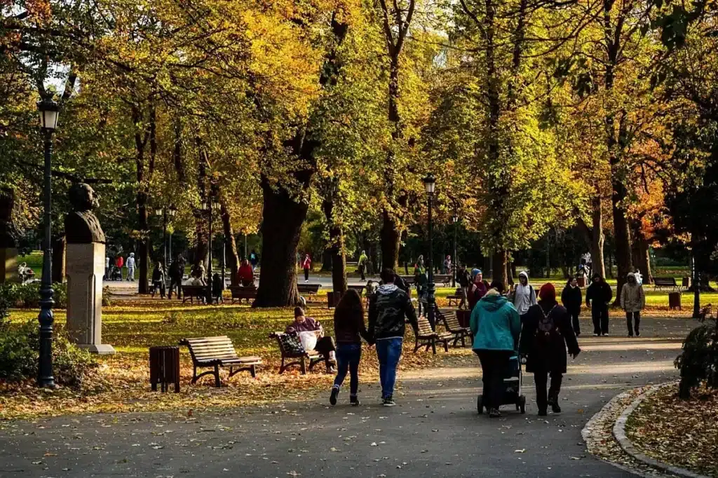 След 12 г. обсъждания: планът за Борисовата градина предвижда консервация на парка 1 11 5