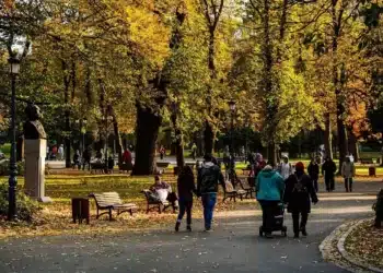След 12 г. обсъждания: планът за Борисовата градина предвижда консервация на парка