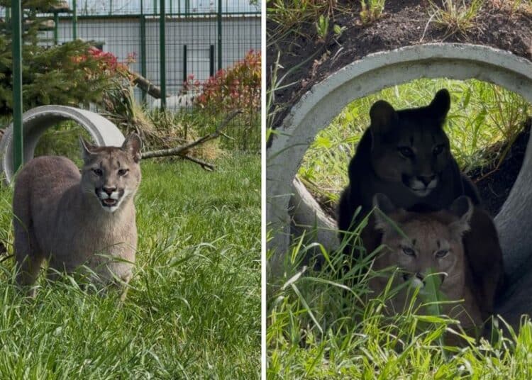 Снимки Зоопарк Бургас
