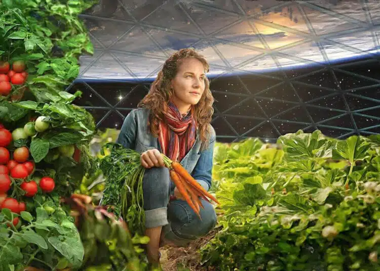 Снимка: nss.org/healthy-space