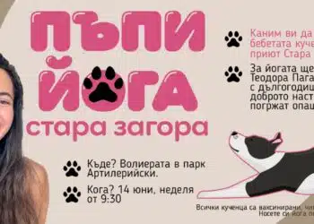 Йога с кученца събира малки и големи в Стара Загора