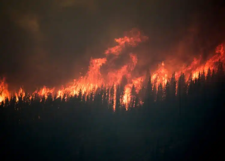NOAA официално обяви началото на Ел Ниньо 1 a wildfire engulfs the chetamon region in the canadian rocky mountains