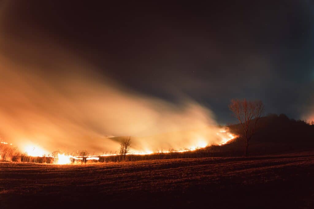 WWF алармира за повишен риск от горски пожари в цялата страна 2 view of wildfire in a field in the evening