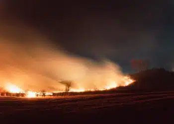 WWF алармира за повишен риск от горски пожари в цялата страна