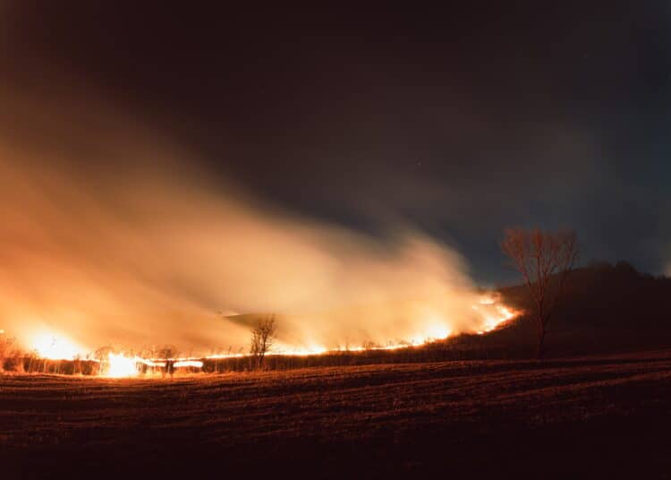 WWF алармира за повишен риск от горски пожари в цялата страна 1 view of wildfire in a field in the evening
