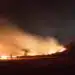 WWF алармира за повишен риск от горски пожари в цялата страна