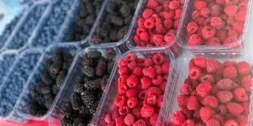 Фестивалът на малината в Самоков събра производители, културна програма и много награди