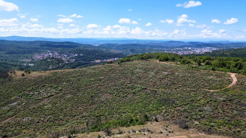 Нова гора расте на Гарга баир край Велико Търново 3 1 cc989422