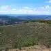 Нова гора расте на Гарга баир край Велико Търново 10 Нова гора расте на Гарга баир край Велико Търново