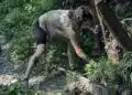 Доброволци отново излизат на Витоша: Нови акции ще обновяват туристическите пътеки 9 Доброволци отново излизат на Витоша: Нови акции ще обновяват туристическите пътеки