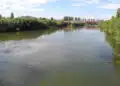 Полицай се хвърли във водите на река Марица, за да спаси 14-годишно момче (видео) 9 Полицай се хвърли във водите на река Марица, за да спаси 14-годишно момче (видео)