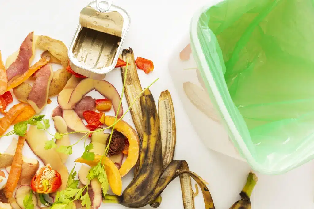 arrangement leftover wasted food bin 975fa61c