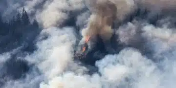 Димът от горски пожари убива стотици хиляди хора годишно