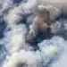 Димът от горски пожари убива стотици хиляди хора годишно 8 Димът от горски пожари убива стотици хиляди хора годишно