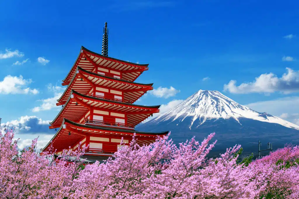 cherry blossoms spring chureito pagoda fuji mountain japan 7c686047