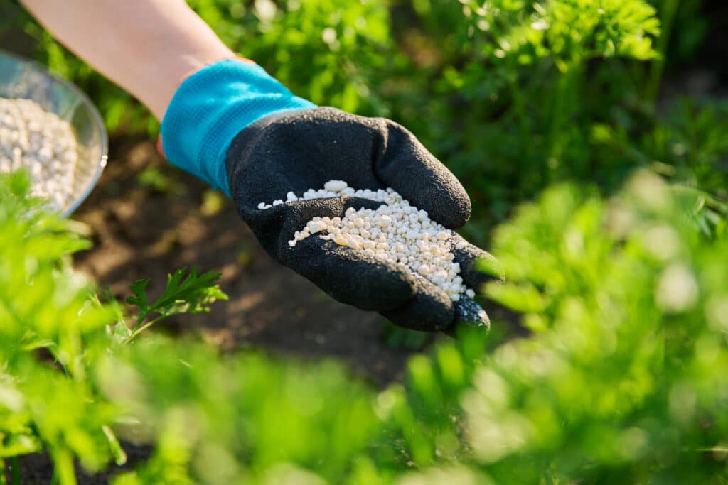 ЕП одобри спешна подкрепа за фермерите заради скъпите торове 2 close up mineral granulation fertilizer in hand o 2026 01 06 09 49 24 utc scaled 1