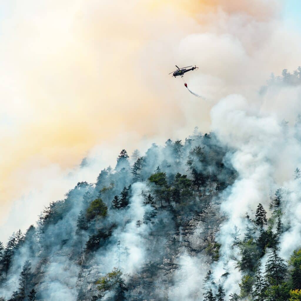 България пак отказа да закупи летателна техника за гасене на пожари 2 extinguishing a forest fire