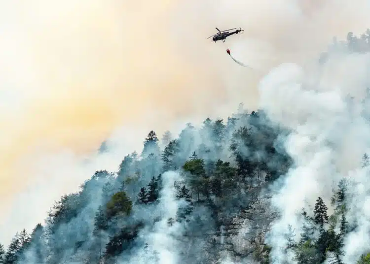 extinguishing a forest fire