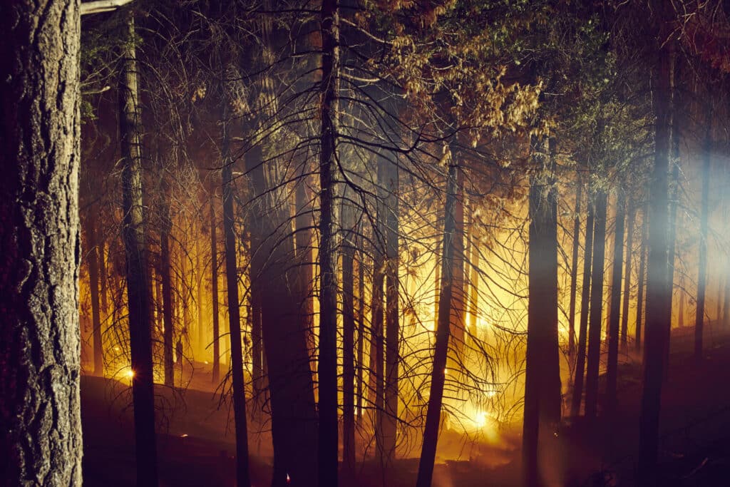 forest fire yosemite national park california u 2026 03 25 02 24 30 utc scaled 1