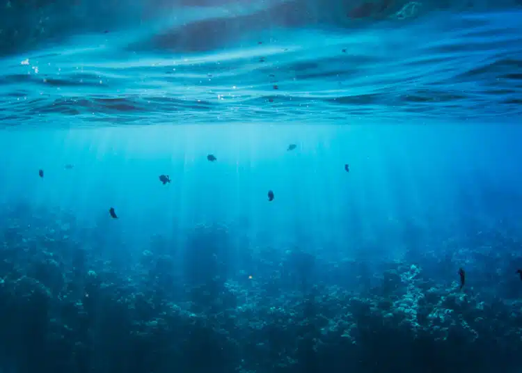 underwater scene of coral and sunlight beams 2026 03 09 06 04 39 utc scaled 1