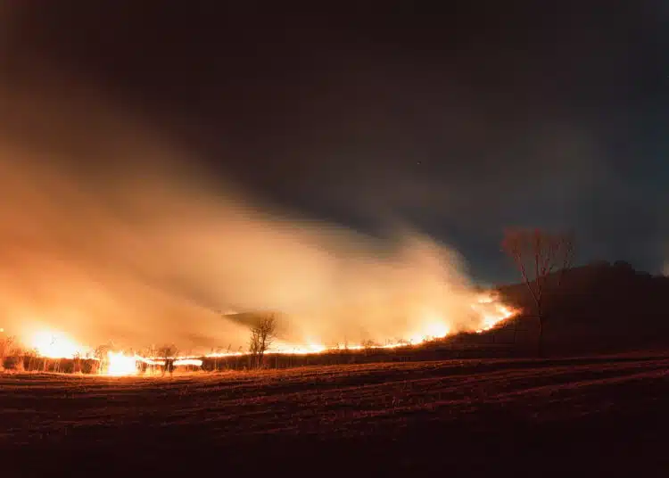 view of wildfire in a field in the evening