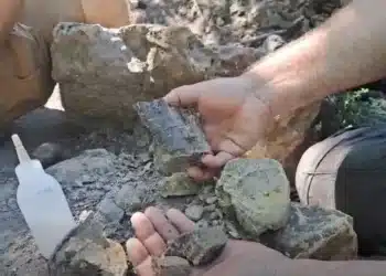 83 милиона години под скалата: откриха почти цяла динозавърска кост край Трън
