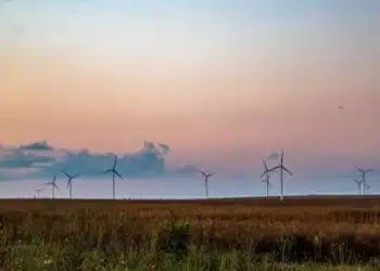 TotalEnergies купува целия наземен ВЕИ бизнес на Shell в Европа