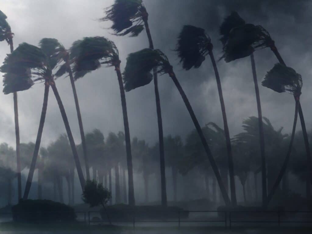 stormy weather bends trees during a powerful hurri 2026 01 06 10 08 15 utc scaled 1