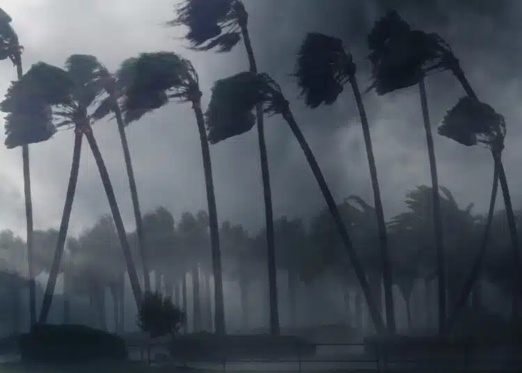 Екстремни валежи в Азия носят внезапни наводнения и тайфуни 1 stormy weather bends trees during a powerful hurri 2026 01 06 10 08 15 utc scaled 1