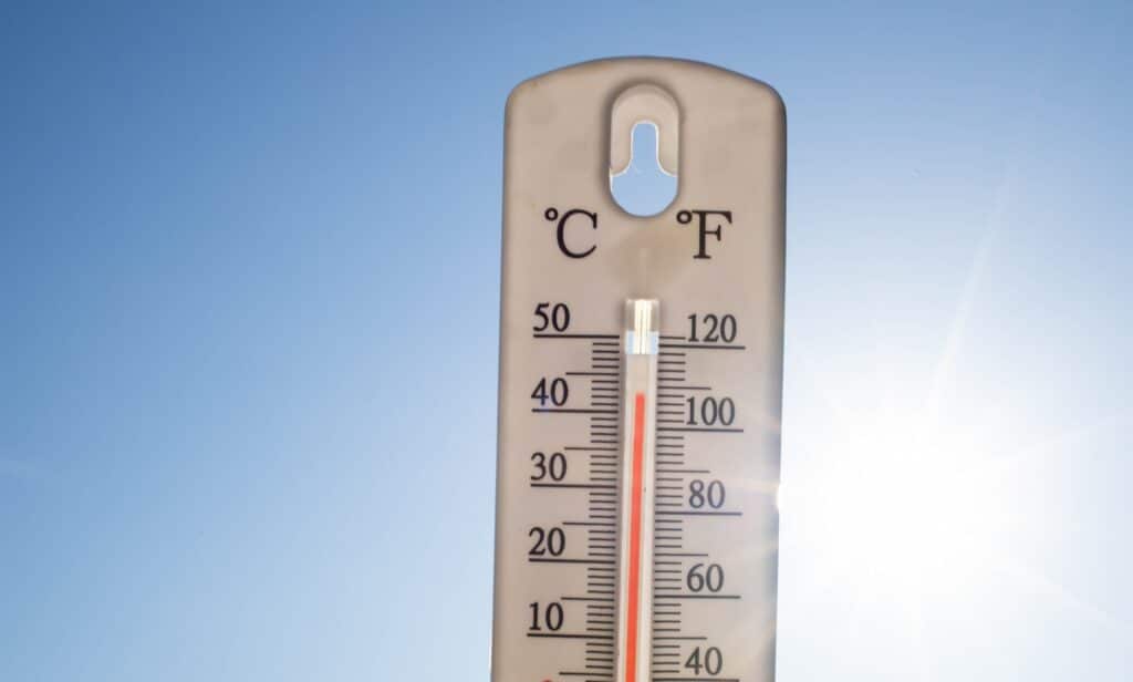 Екстремните горещини засилват кризите в Централна и Източна Европа 2 thermometer over 38 degrees heat wave