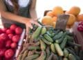 От Сливен до Любимец: ниските изкупни цени притискат производителите на плодове и зеленчуци